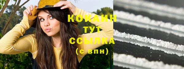 экстази Бородино