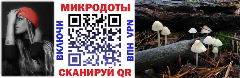 Псилоцибиновые грибы Psilocybe  как найти закладки  Томари 