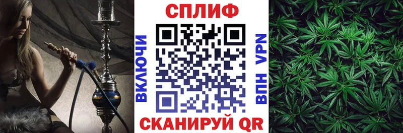 Бошки марихуана планчик  нарко площадка клад  Томари  купить  